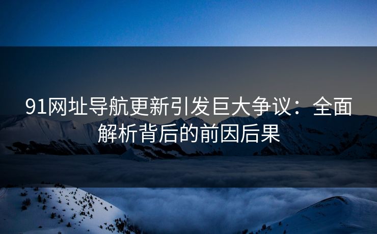 91网址导航更新引发巨大争议：全面解析背后的前因后果